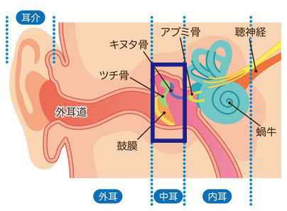 子供 赤ちゃんの中耳炎 耳を触る 耳垂れが出る なら尼崎の にこにこクリニック へ