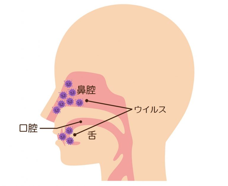 新型コロナウイルスは主に口腔内（舌裏）で増殖