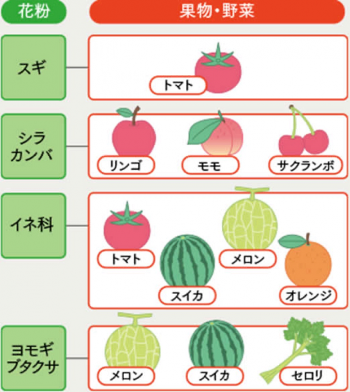 出典：鼻アレルギー診療ガイドライン-通年性鼻炎と花粉症-2020年版（改訂第9版）：表38（一部改変）, P102, 2020